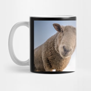 Call Me a Sheep One More Time! Mug